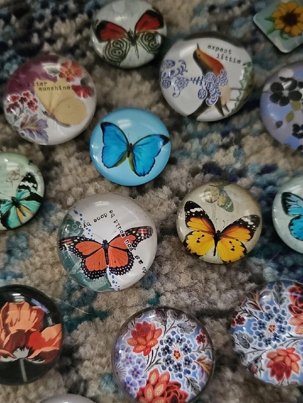 Butterfly Glass Magnets
